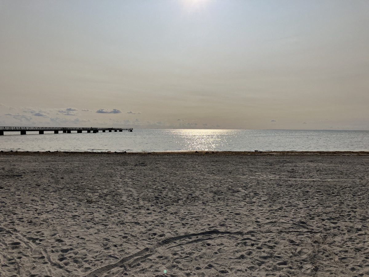 IMG_6490_resize