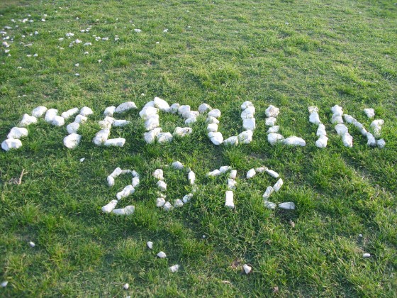 Medulin 2012