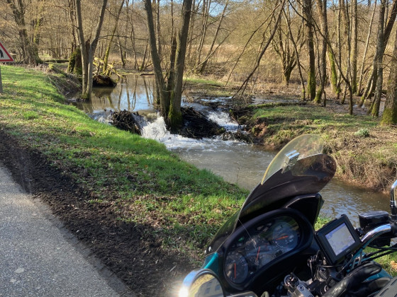 Hallo Frühling 😁