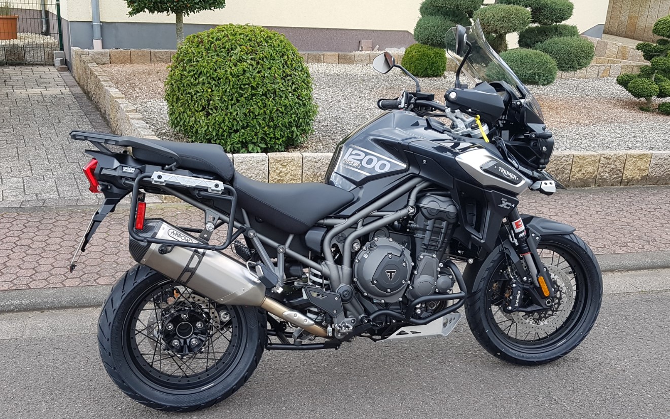 Neues Kätzchen