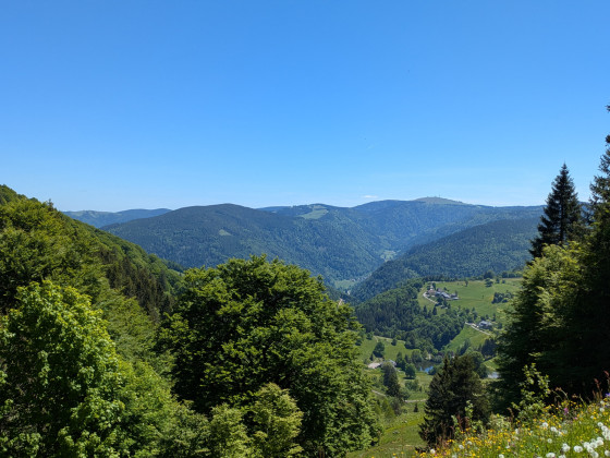 Schwarzwald Tour .