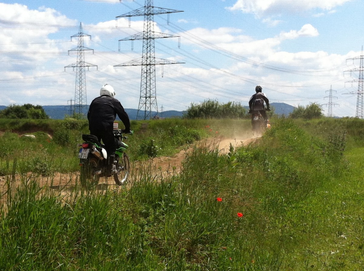Pfungstadt 2014