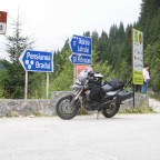 Honig_am_Wegesrand