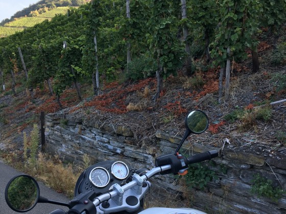 Mosel Tour