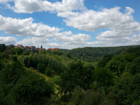 🌳La Petite-Pierre🌳