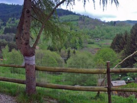 Aussicht von der Terrasse