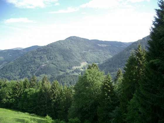 Schwarzwald 2011 009