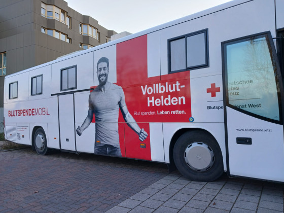 Mit diesem kleinen Smart habe ich schon das ganze Saarland erobert