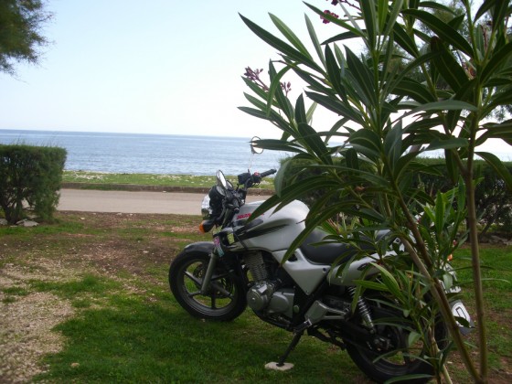 Medulin 2012